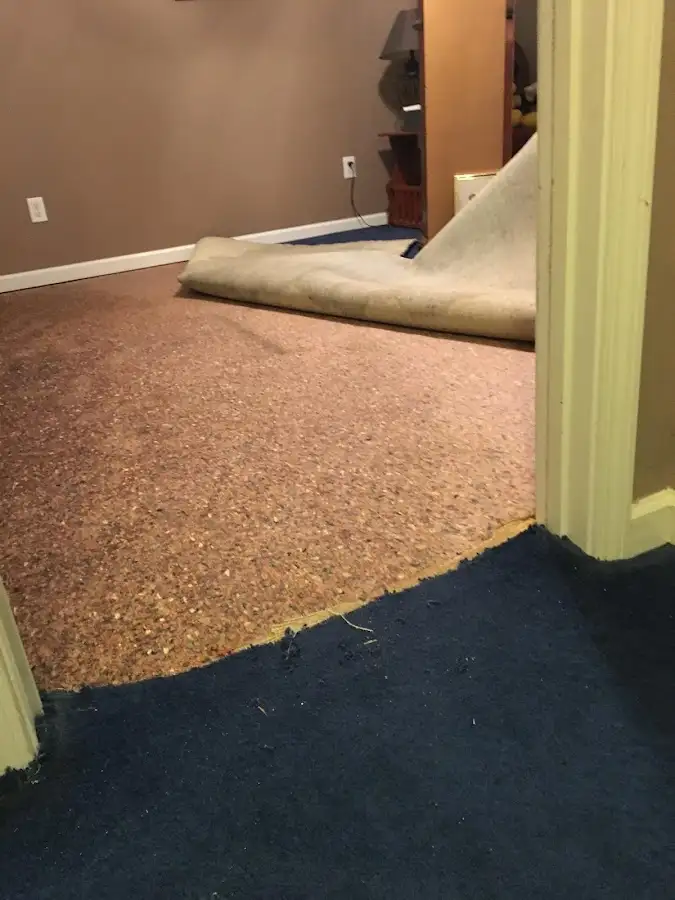 Carpet pad removal revealing water damage during Drying & Dehumidification in Palmer Ranch