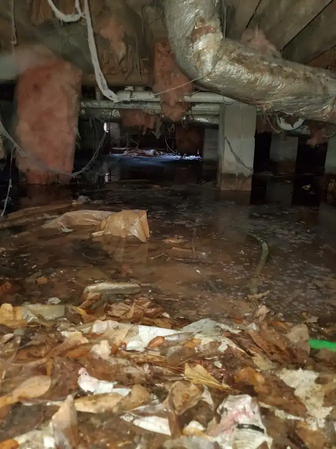 Crawl space flood assessment for Leak Detection & Repair in Palmer Ranch