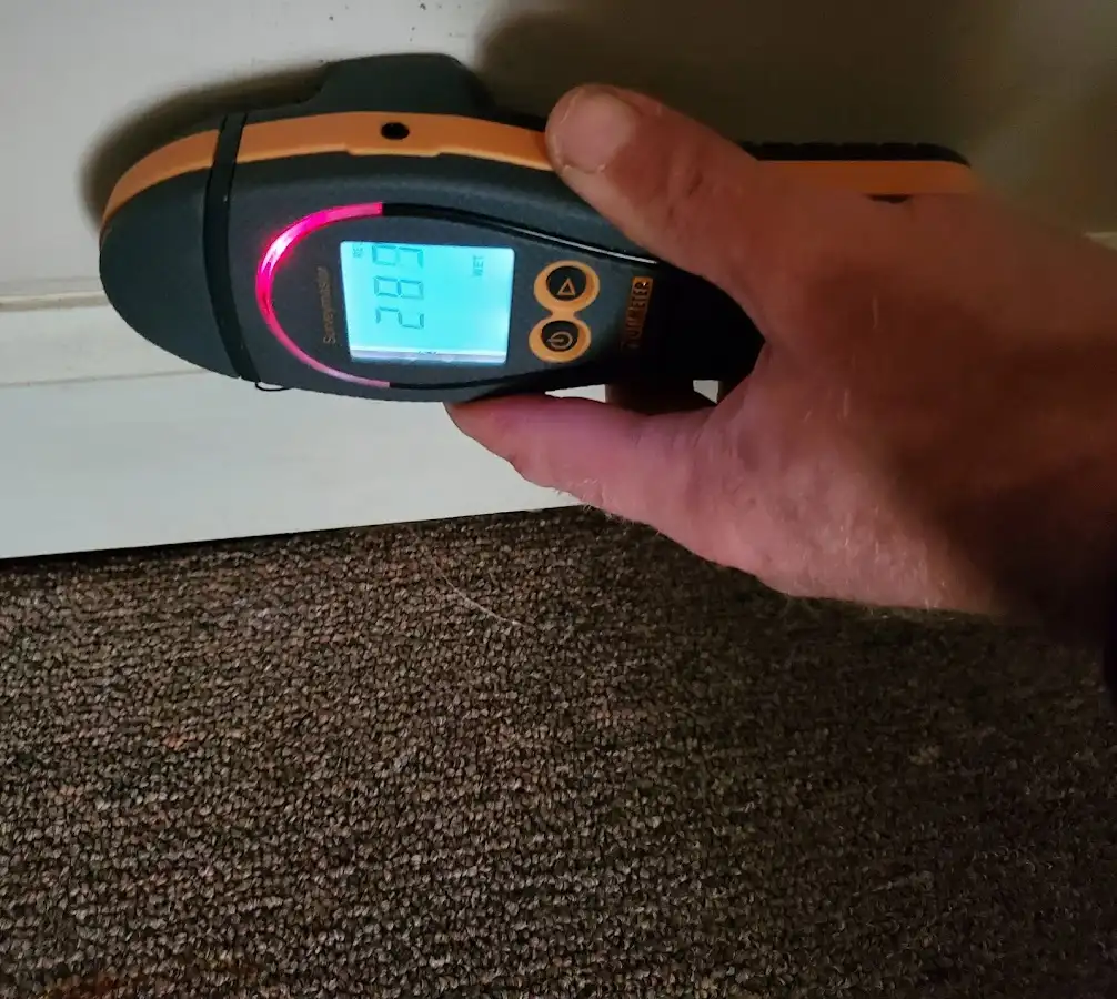 Moisture detection at baseboard during Burst Pipe Cleanup in Palmer Ranch